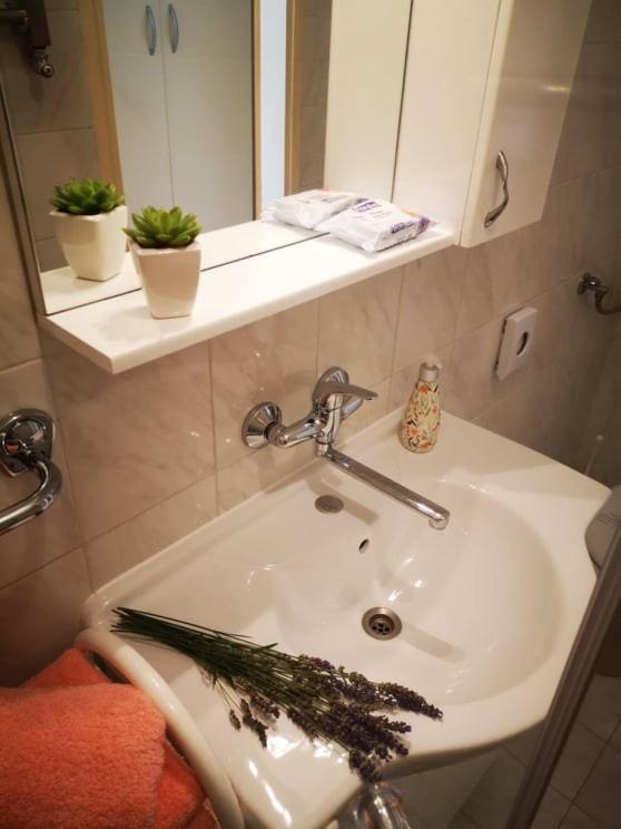 Rita Apartment Novigrad (Istria)