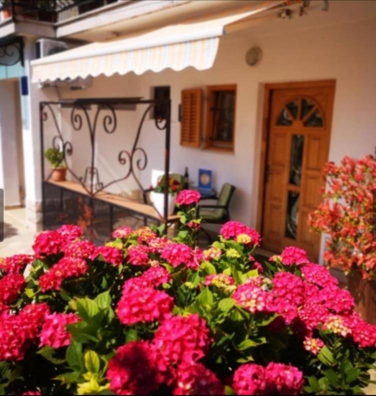 Rita Novigrad (Istria)